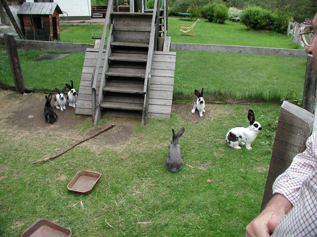Familienparadies Wolfgangbauer Heiligenblut Ngoại thất bức ảnh